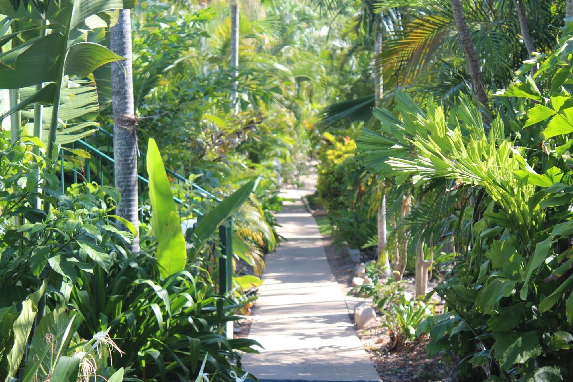 Amaroo On Mandalay, Magnetic Island Hotel Nelly Bay Exterior photo